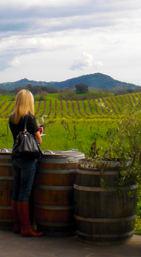 san francisco winery tour